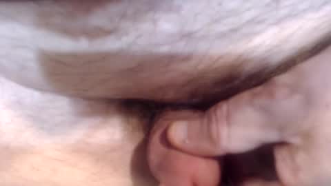 bobswan online show from December 26, 2024, 5:19 pm