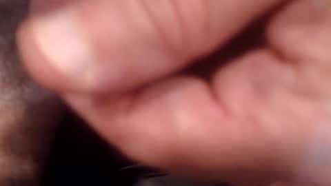 bobswan online show from September 9, 2025, 9:58 pm