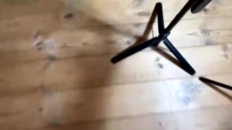 Snapshot of bohemianrhapsody1 chatting on December 4, 2025, 10:57 am Nail and Olivia online show from December 4, 2025, 10:57 am