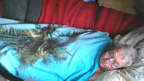 Snapshot of bomber59potsdam chatting on January 25, 2025, 11:02 am Bomber59potsdam online show from January 25, 2025, 11:02 am