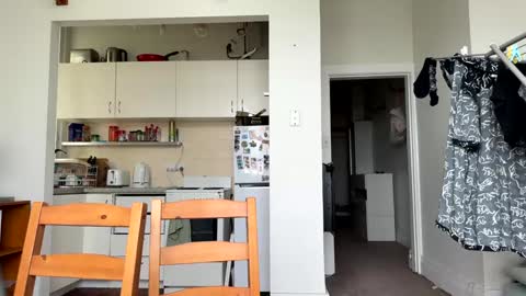 Bondi online show from December 4, 2024, 9:13 pm