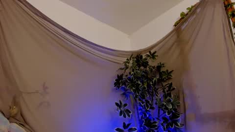   online show from October 11, 2025, 11:47 pm