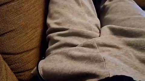 bonny8723 online show from December 22, 2024, 7:42 pm