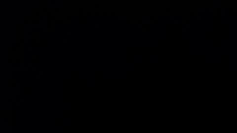 Snapshot of bonny_clyde_xx_ chatting on December 12, 2024, 8:47 am Soffy Brooks Independent model online show from December 12, 2024, 8:47 am