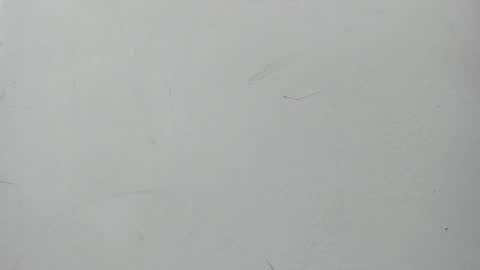 Snapshot of boomboomhoot chatting on January 11, 2025, 7:05 pm Maggie and Jay  online show from January 11, 2025, 7:05 pm