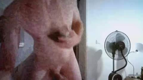 borderlanddu13 online show from October 26, 2025, 5:08 pm