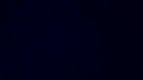 boredaf6678 online show from December 14, 2024, 12:01 pm