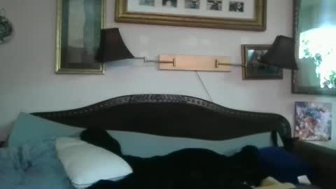 boredaf6678 online show from December 16, 2024, 10:50 am