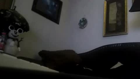 boredaf6678 online show from December 23, 2024, 9:05 am