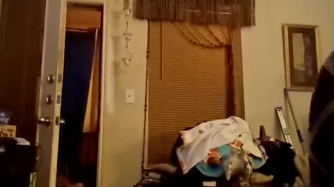 boredaf6678 online show from November 22, 2025, 11:59 pm