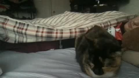 Snapshot of boywithbug chatting on February 13, 2025, 10:54 pm boywithbug online show from February 13, 2025, 10:54 pm