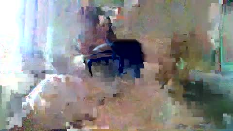 bpbww online show from September 19, 2025, 4:40 pm