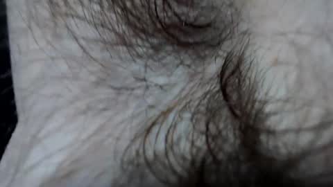 branflakes_ online show from February 21, 2025, 11:10 pm