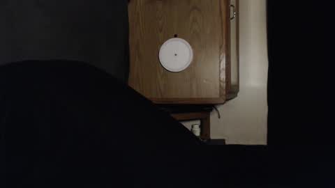 branflakes_ online show from September 13, 2025, 2:44 am