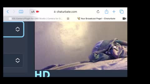 MANTE online show from November 20, 2025, 2:34 am