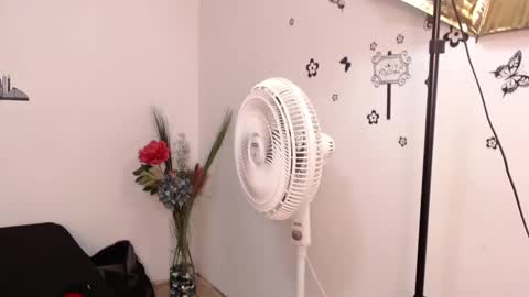 Snapshot of brenda_maz chatting on January 29, 2025, 3:15 pm Brenda  online show from January 29, 2025, 3:15 pm