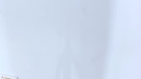 Brittany  online show from February 20, 2025, 2:18 am