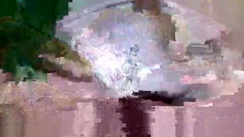 buffsurgeon1 online show from September 8, 2025, 5:34 pm