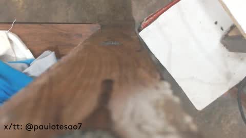 Snapshot of buldgeinboxer chatting on February 17, 2025, 7:21 pm buldgeinboxer online show from February 17, 2025, 7:21 pm