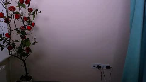 Ariel online show from October 21, 2025, 4:13 am