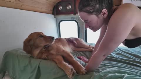 busbuddies online show from February 2, 2025, 4:54 pm