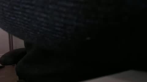 Snapshot of bushhouse21 chatting on November 23, 2025, 6:02 am bushhouse21 online show from November 23, 2025, 6:02 am