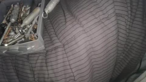 Snapshot of calisguitar chatting on February 13, 2025, 11:17 am Calisguitar online show from February 13, 2025, 11:17 am