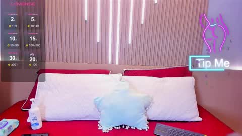 Snapshot of camile_cute chatting on November 17, 2025, 8:25 pm camile_cute online show from November 17, 2025, 8:25 pm