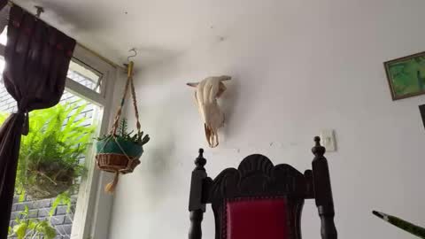 Snapshot of camille_delrey chatting on October 31, 2025, 6:42 pm Camille online show from October 31, 2025, 6:42 pm