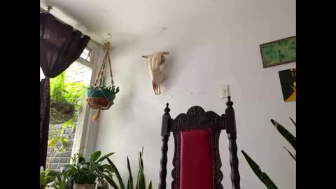 Snapshot of camille_delrey chatting on November 8, 2025, 2:39 pm Camille online show from November 8, 2025, 2:39 pm