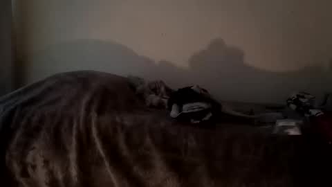 Snapshot of camren777 chatting on October 7, 2025, 2:47 pm Camren online show from October 7, 2025, 2:47 pm