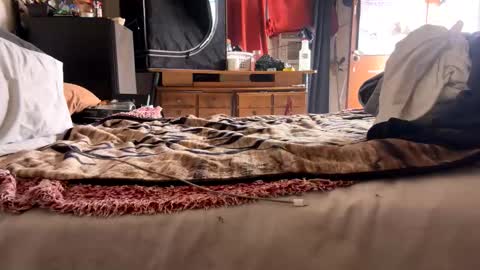 Bbc always ready balls insta bmac capone online show from November 28, 2025, 8:11 pm