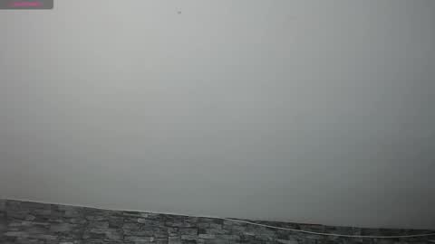 Camelia online show from November 17, 2025, 11:32 pm