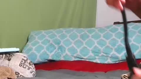 carolinayungin96 online show from November 11, 2025, 10:43 pm