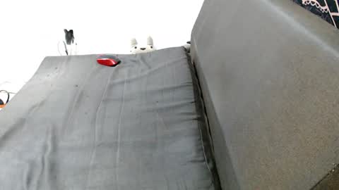 carol my sign is capricorn online show from December 29, 2024, 1:45 am