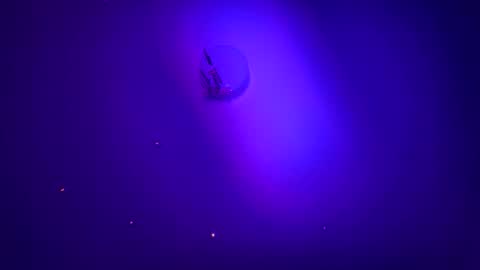 Snapshot of casidy1 chatting on January 21, 2025, 6:00 am casidy1 online show from January 21, 2025, 6:00 am