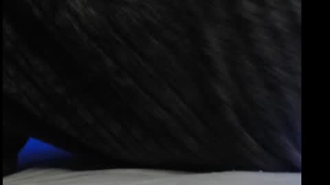 Snapshot of casidy1 chatting on March 6, 2025, 6:59 pm casidy1 online show from March 6, 2025, 6:59 pm