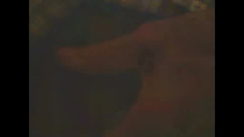 Snapshot of castells chatting on February 23, 2025, 6:56 pm castells online show from February 23, 2025, 6:56 pm