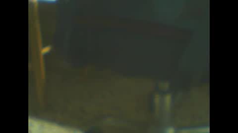 Snapshot of castells chatting on October 20, 2025, 5:02 pm castells online show from October 20, 2025, 5:02 pm