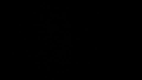 cata_n_cami online show from December 21, 2024, 10:08 pm