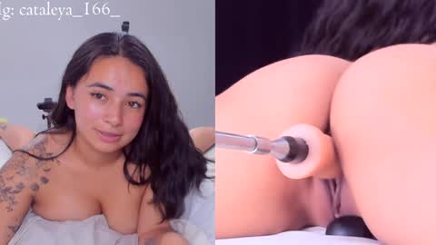 Cattleya Annie  online show from December 31, 2024, 12:43 am