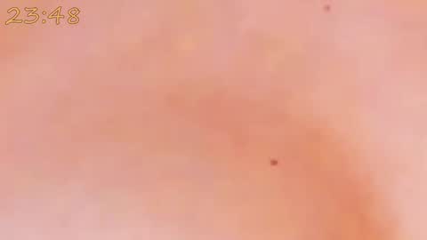 Snapshot of catty_foxx chatting on January 25, 2025, 6:24 pm online show from January 25, 2025, 6:24 pm