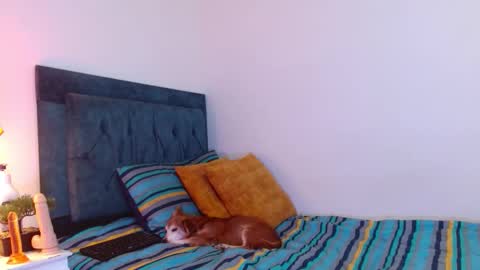 Cedrixx10 online show from December 19, 2025, 9:55 pm