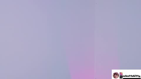 Snapshot of celestte_evans_1 chatting on December 14, 2025, 3:01 am celestte_evans_1 online show from December 14, 2025, 3:01 am