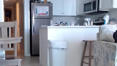 Snapshot of charleyandsmokie chatting on October 31, 2025, 5:58 pm charleyandsmokie online show from October 31, 2025, 5:58 pm