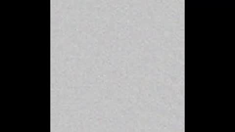 Charlotte online show from January 9, 2025, 3:23 pm