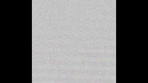 Charlotte online show from January 21, 2025, 1:54 pm