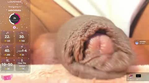 Char online show from February 25, 2025, 11:11 pm