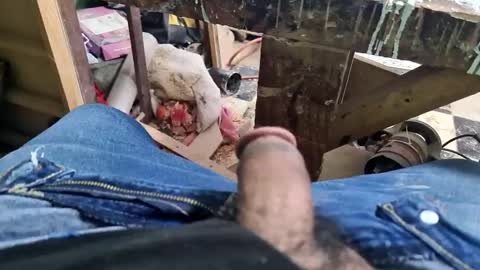 Parcero online show from September 9, 2025, 1:32 pm