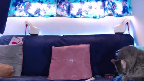 Snapshot of cicimom chatting on February 5, 2025, 5:20 pm cicimom online show from February 5, 2025, 5:20 pm